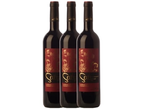 Vinho BLANCH I JOVÉ Blanch I Jové Saó Abrivat Costers Del Segre Crianza (0.75 L - 3 unidades)