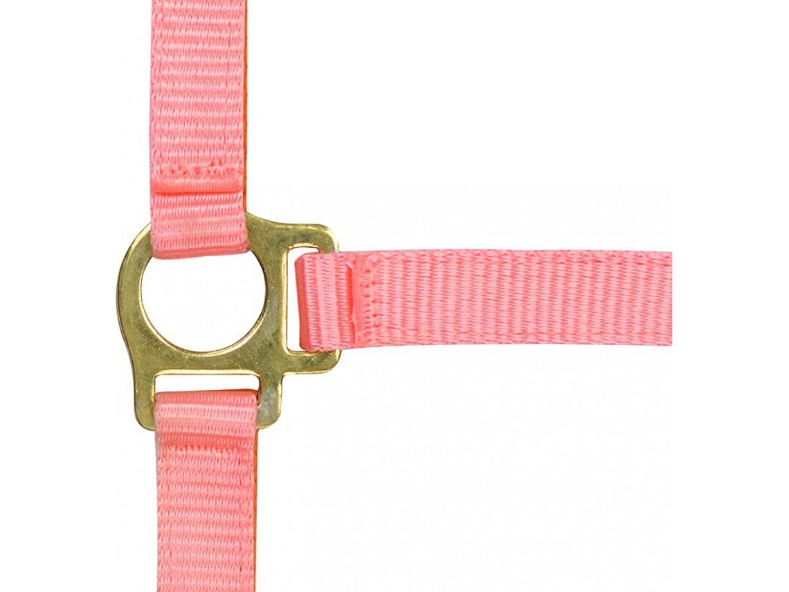 Cabresto para potro e corda de chumbo Norton