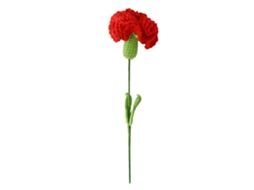 Bouquet de Flores de Lã com Rosas e Cravos LAXISCREED