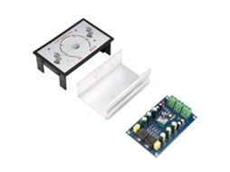 Placa Amplificadora Digital TPA3116D2 100w Canal Único | S/MARCA