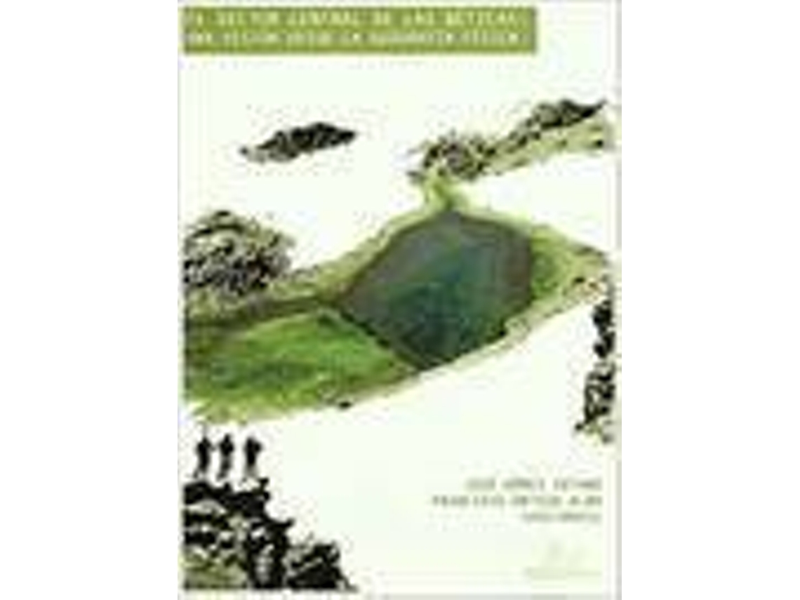 Livro Sector Central De Las Beticas Una Vision Desde La Geografia (Espanhol)