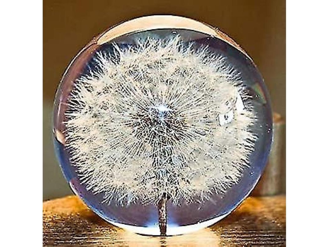 Nova Line peso de Mesa Bola de Desejos Cristal Dandelion com Flor Real Presente Único