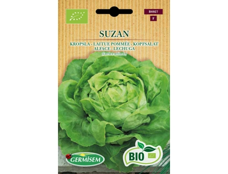 Sementes  Bio Sementes Alface Suzan