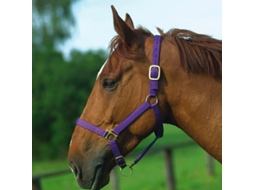 Halter Norton Doublé cuir