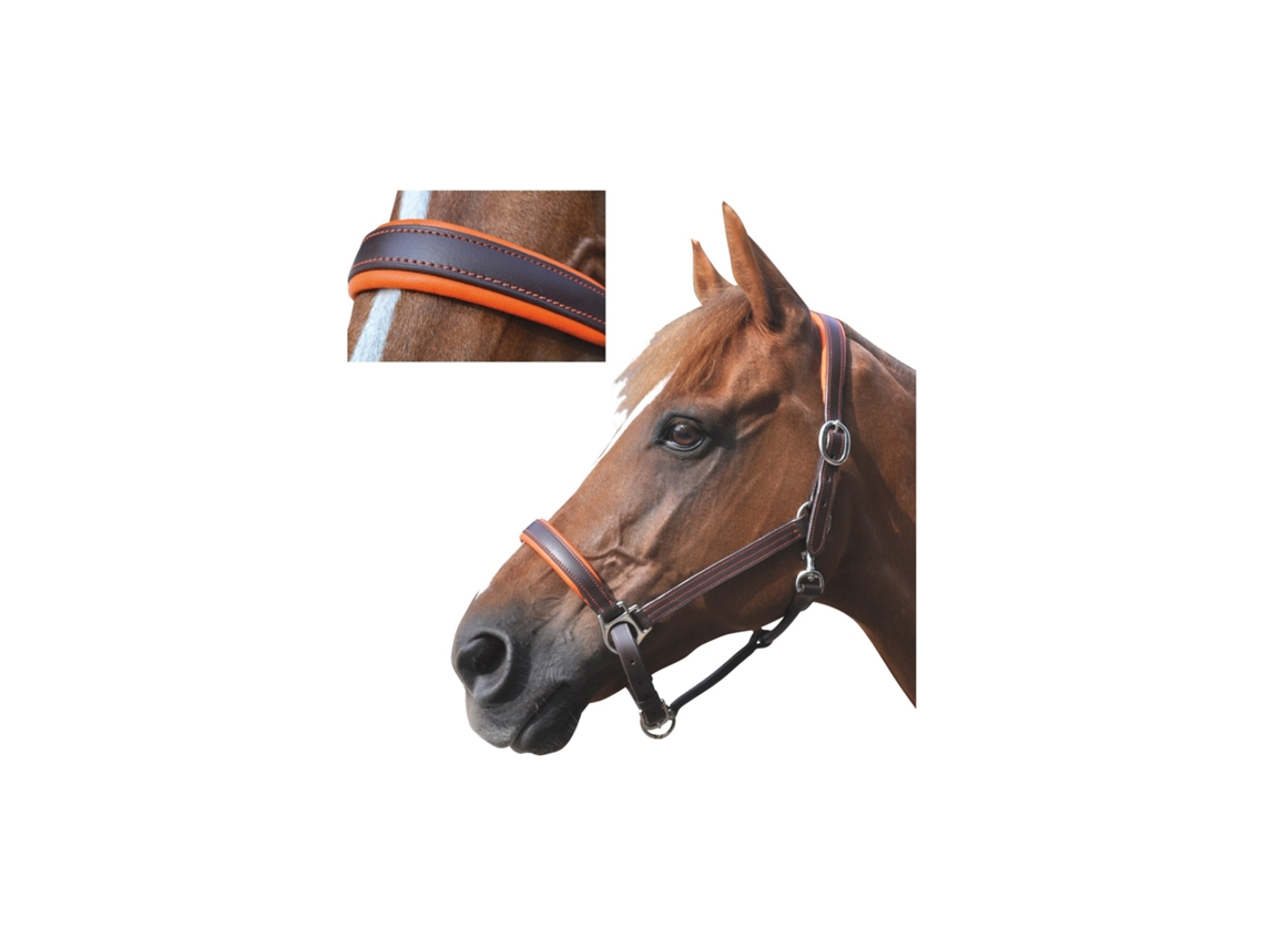 Cabresto de couro forrado para cavalos Canter