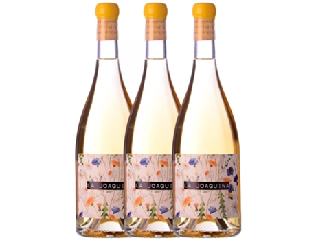 Vinho VALL LLACH Vall Llach La Joaquina Priorat Joven (0.75 L - 3 unidades)