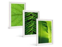 Conjunto De Pinturas Folhas Tropicais, Macrofotografia Espelharte (3 Peças 40x60 Cm)