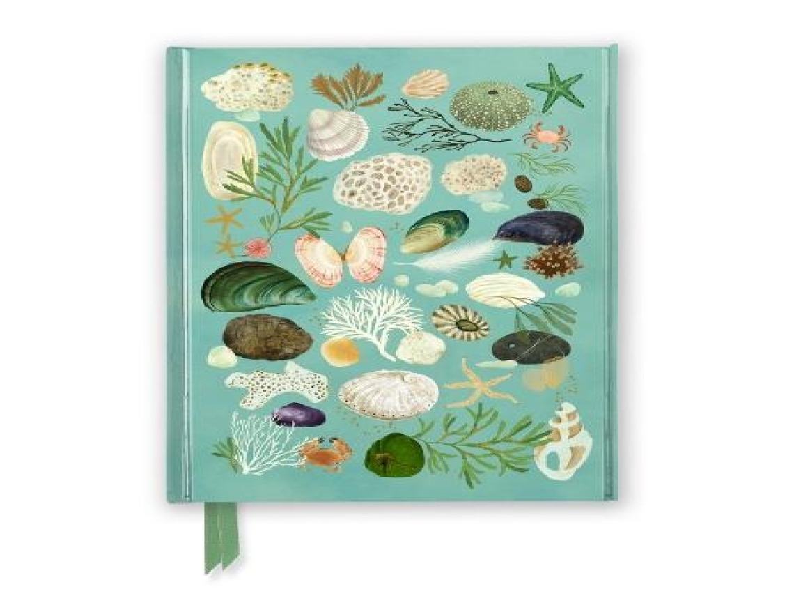 Livro Katherine Quinn Beachcombing de Flame Tree Publishing (Inglês)