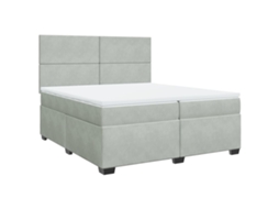 Box Spring Bed, Box Spring Beds Vidaxl Cinzeto Veludo (200 X 200 Cm)