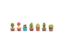 Plantas Suculentas Minúsculas Cactus Para Decoração (7 Peças)