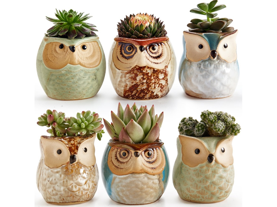 Conjunto De Vasos Cerâmicos Com Esmalte Escorrido, Vaso De Coruja Para Suculentas, Cactos E Flores Com Drenagem, 6 Unid, 2,5 Polegadas