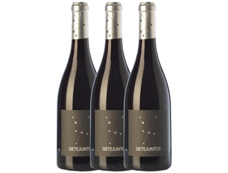 Vinho MICROBIO Microbio Ismael Gozalo Sietejuntos Merlot Crianza (0.75 L - 3 unidades)