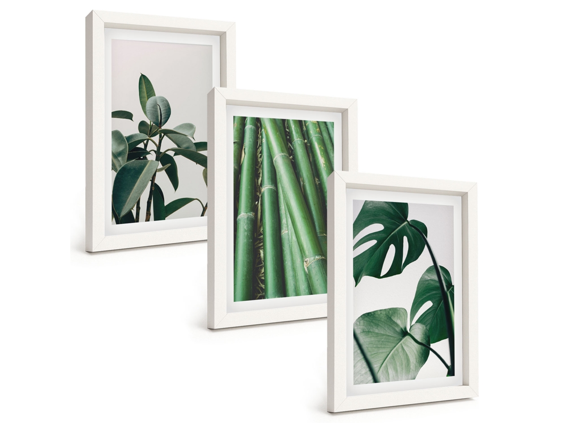 Composição De Quadros Hastes De Bambu E Folhas De Monstera Espelharte (3 Peças 20x30 Cm)