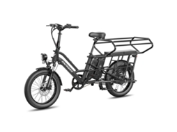 Bicicleta Elétrica FAFREES Ff20 Cuv Longtail, 12 Ah X 2 Pilhas, 250 W