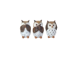 Owls 3 Different SET 3U BY SIGRIS