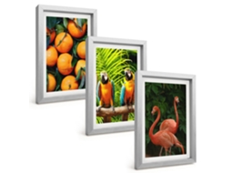 Composição De Quadros Detalhes De Frutas Tropicais Espelharte (3 Peças 20x30 Cm)