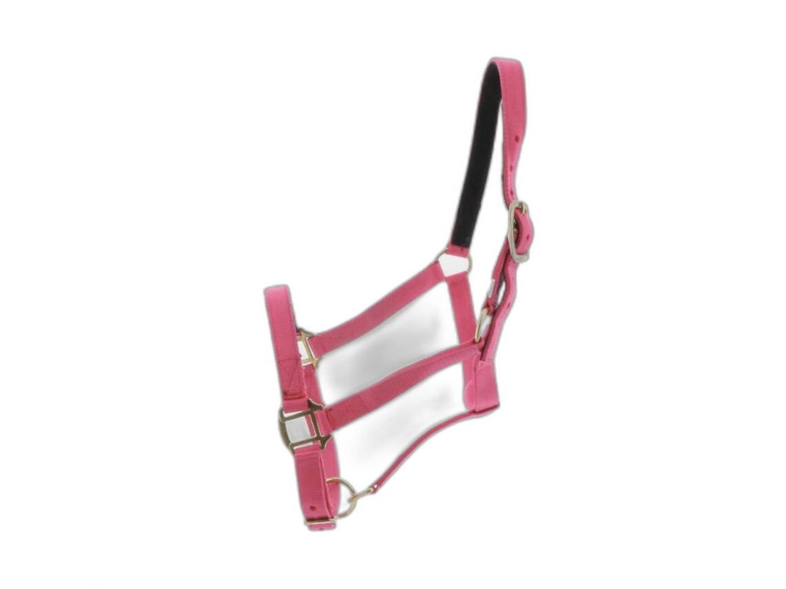 Cabresto para cavalos Norton Doublé cuir