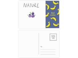 Pacote com 20 Cartões postais Estampa de Banana e Planta Mirtilo da Soloisland 14,6 X 9,8 Cm