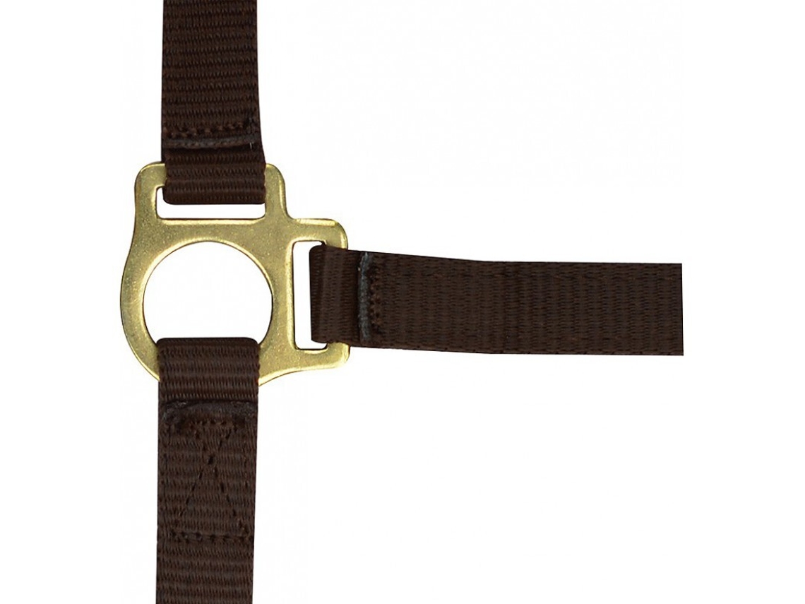 Cabresto para potro e corda de chumbo Norton