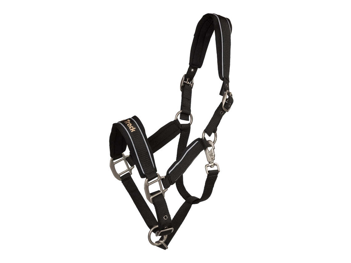 Cabresto reflector de cavalos Back on Track Werano