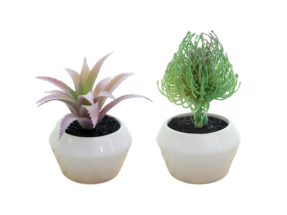 2Pcs Planta Suculenta em Vaso Criativa Pequenos Ornamentos NEVEANCE