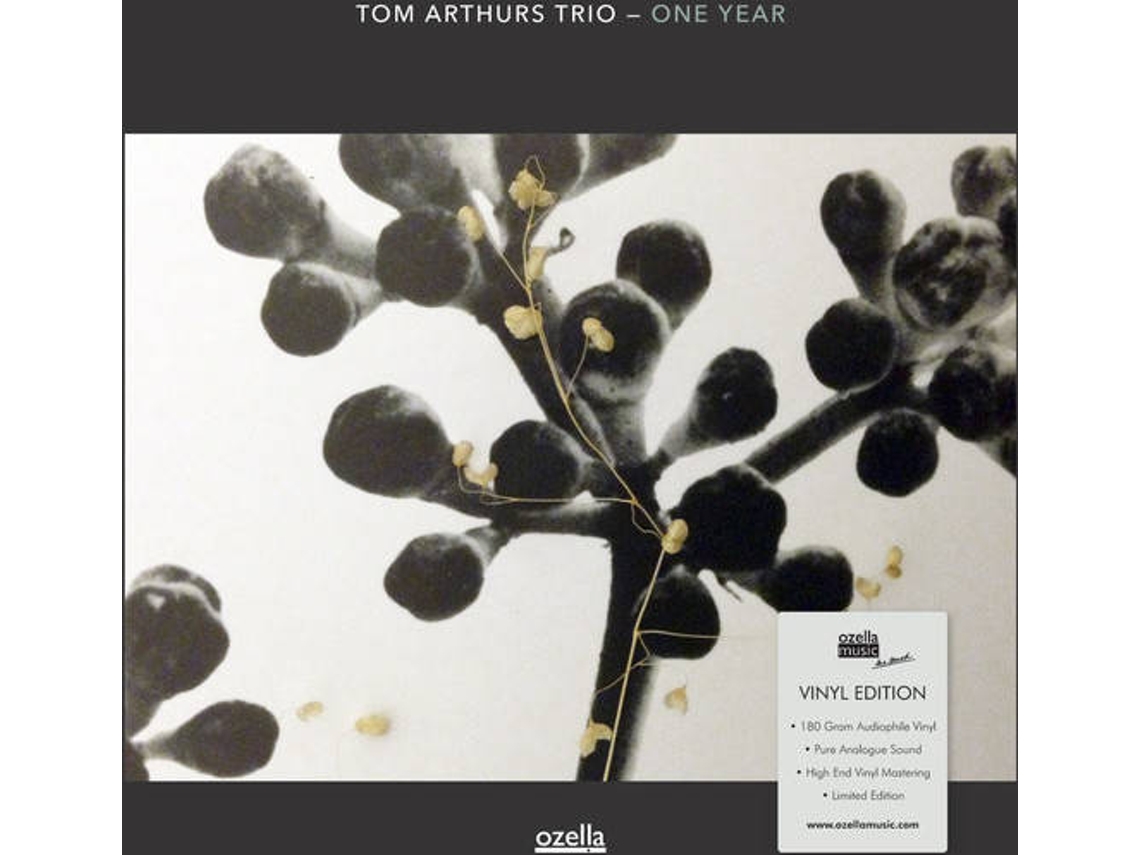Vinil LP Tom Arthurs Trio - One Year