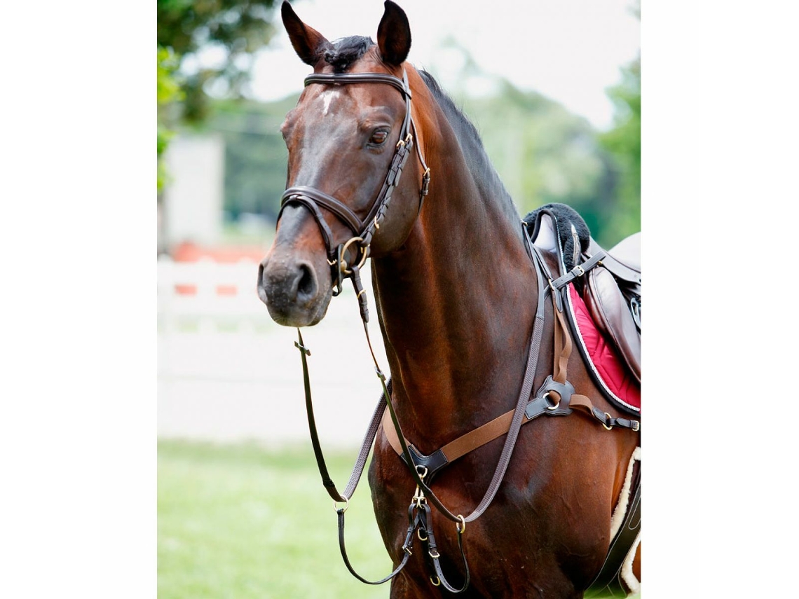 Gola Elástica de Caça Ao Cavalo com Martingale TATTINI