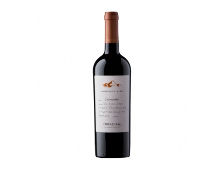 Errazuriz Aconcagua Alto Carmenere 2020 MARTINS BRANDS