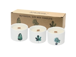 Velas Botânicas Médias Mullberry Harvest 8X6 Cm