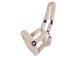 Halter QHP Alaska