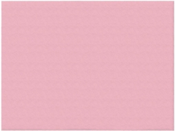 Manta de Flanela Ultramacia Phayah com Estampa Rosa Lisa Ideal para Sofá Cama Sala Estar Escritório e Pausa o