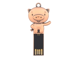 Pen Drive Portátil À Prova D'água LAXISCREED