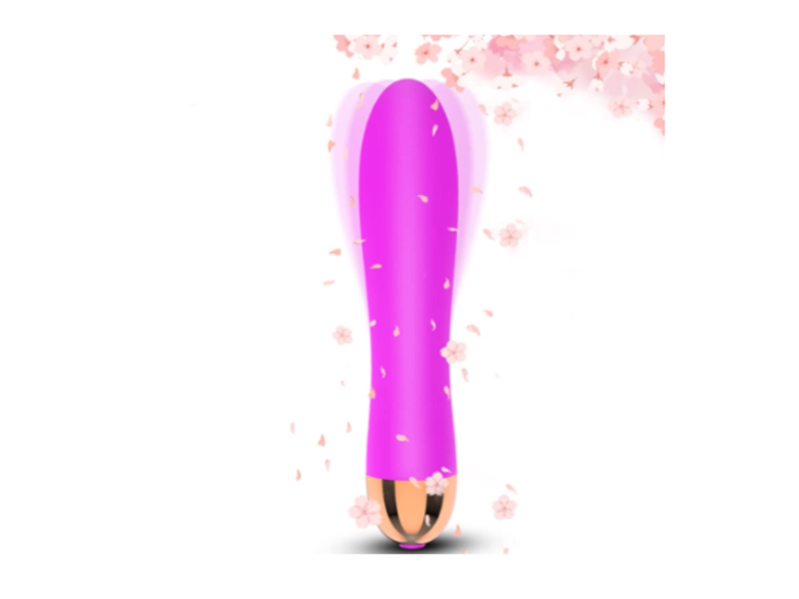 Vibrador Feminino YIZHOOD Sbp553 Roxo