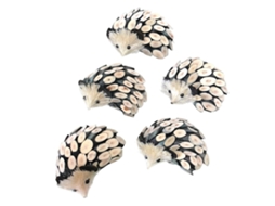 5pcs Pingentes Animais De Palito Decor Plantas