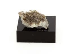 Dannemorite Pedra Natural Do Canadá Montauban Mineral Colecionável Anfibólio Multicolorido 23 3 Cts Certificado de Autenticidade TRENDYFLAIR