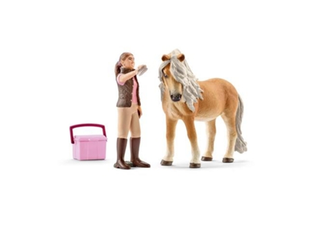 Conjunto de Figuras  Escovagem com Pónei Icelandic