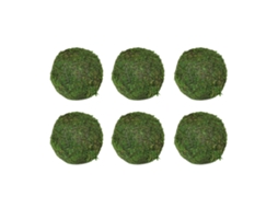 Bola De Musgo (6 Unidades 9cm Flor Seca Decorativa)