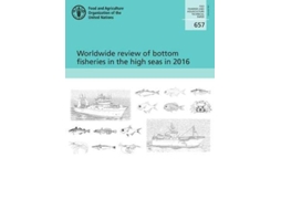 Livro Worldwide Review Of Bottom Fisheries In The High Seas In 2016 De Food And Agriculture Organization (inglês)