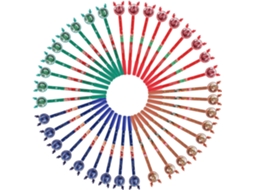 Conjunto De 36 Canetas Finas Ibasenice Com Estampa Alce Natalino,