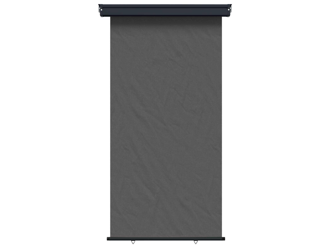 Vidaxl Toldo Lateral De Varanda 117 X 250 Cm