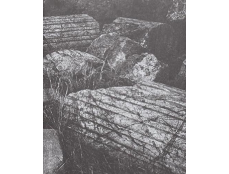 Livro 1099 de Vanoverberghe Sybren (Inglês)