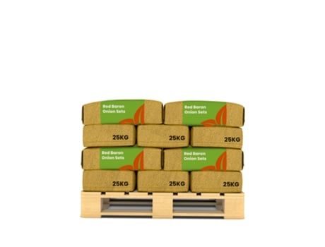 Plantas De Cebola Red Baron 14/21 - 500 Kg - Organifer