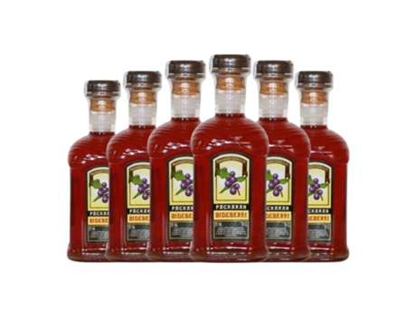 Pacharán PANIZO Bideberri (0.7 L - 6 Unidades)