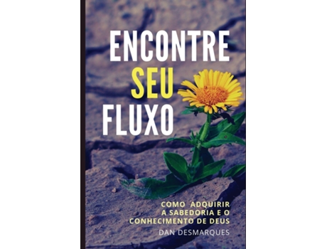 Livro Encontre Seu Fluxo Como Adquirir A Sabedoria E O Conhecimento De Deus De Dan Desmarques (inglês)