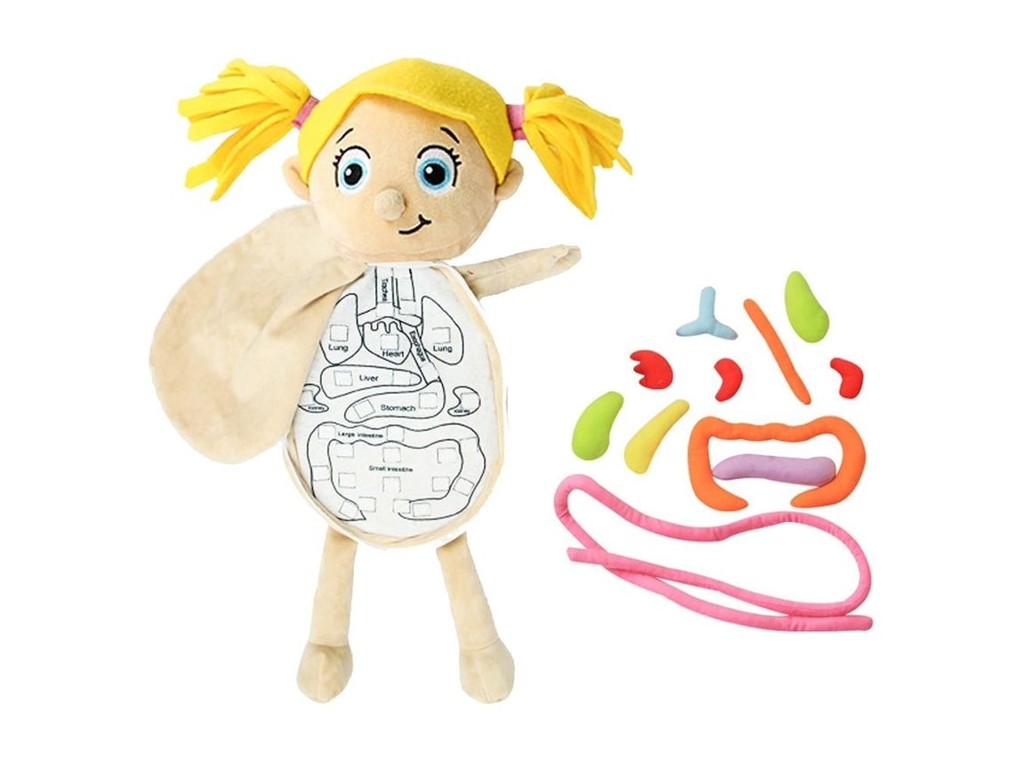 Primerox brinquedo Anatômico Corpo Humano Boneca Órgãos Removíveis Modelo Educativo Infantil