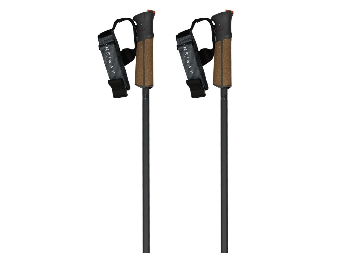FISCHER Pólos Gt 13 Comp Mag Castanho 115 cm