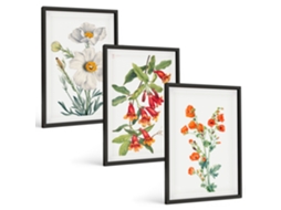 Um Conjunto De Imagens Decorativas Em Uma Moldura Composições Florais Retrô Moldura Preta Quadros Para O Escritório Espelharte (3 Piezas De 40x60 Cm)