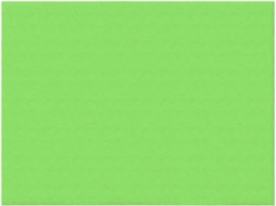 Manta de Flanela Ultramacia Phayah com Estampa Verde clara para Sofá Cama Sala Estar Escritório e Pausa o Almo