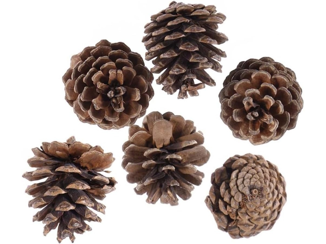 Conjunto De 36 Enfeites De Pinha Natural Não Processada Com Cordão Para Decoração De Natal, Árvore D Gokoco