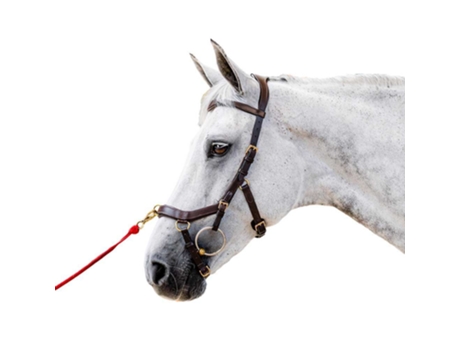 Refrear Inglesa Micklem 2 Multibridle Castanho Cobhorseware